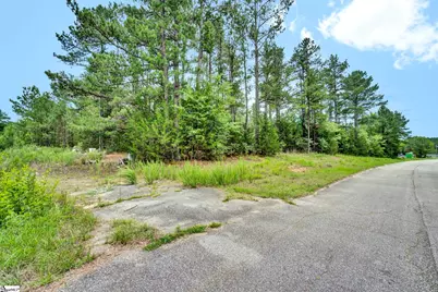 00 Stomp Springs Drive, Clinton, SC 29325 - Photo 18