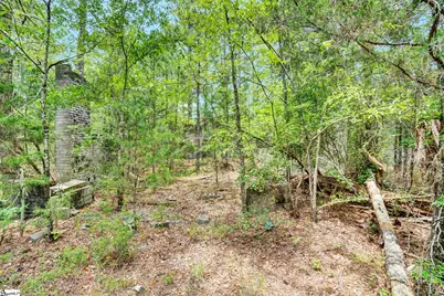 00 Stomp Springs Drive, Clinton, SC 29325 - Photo 22
