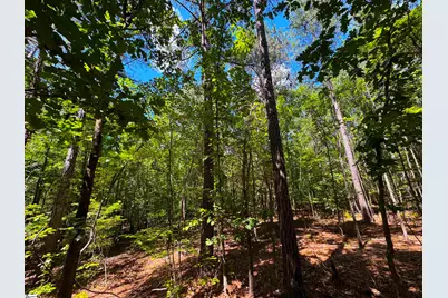 401 Coleman Road, Clinton, SC 29325 - Photo 22