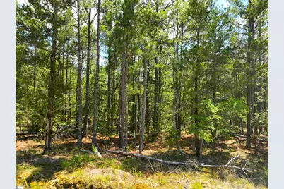 401 Coleman Road, Clinton, SC 29325 - Photo 12