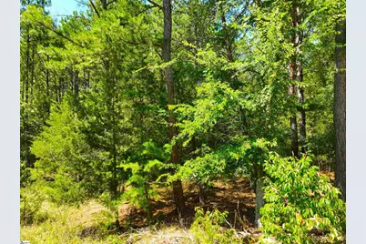 401 Coleman Road, Clinton, SC 29325 - Photo 14