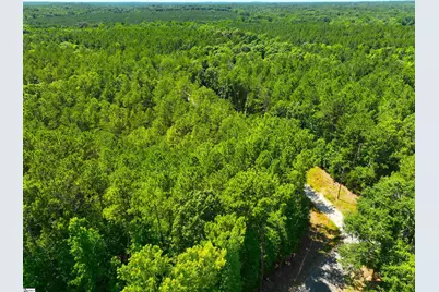 401 Coleman Road, Clinton, SC 29325 - Photo 16