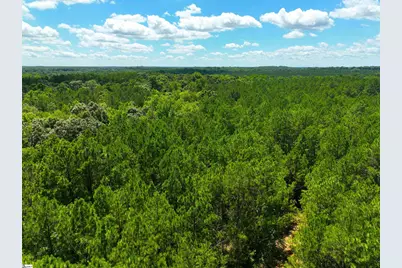 401 Coleman Road, Clinton, SC 29325 - Photo 4