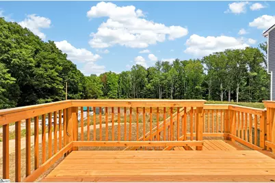 101 Spring Knoll Way, Fountain Inn, SC 29644 - Photo 32
