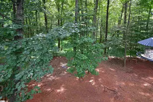 450 Waspnest Rd, Wellford, SC 29385 - Photo 30