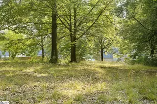 4055 Hwy 357, Inman, SC 29349 - Photo 46