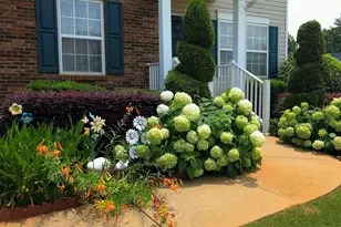 [Address not provided], Greenville, SC 29605 - Photo 46