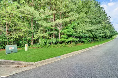 208 Wedge Way, Travelers Rest, SC 29690 - Photo 8