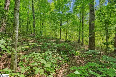14 Alsace Way, Travelers Rest, SC 29690 - Photo 8
