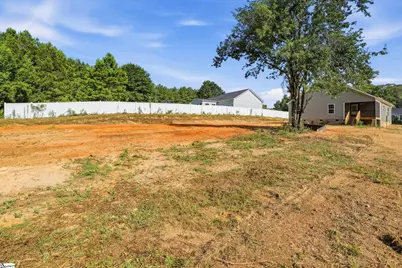 124 Laura Jane Lane, Gray Court, SC 29645 - Photo 18
