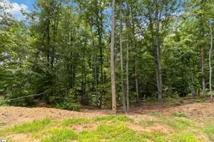 136 N Forest Cir, Marietta, SC 29661 - Photo 20