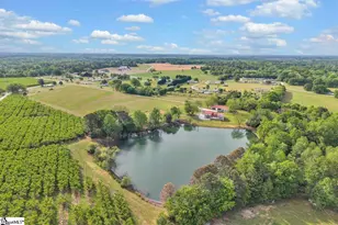 963 Turkey Farm Rd, Chesnee, SC 29323 - Photo 26