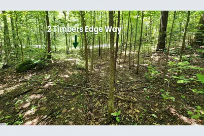 2 Timbers Edge Way, Travelers Rest, SC 29690 - Photo 14