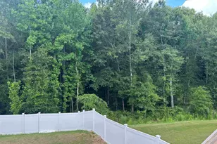 229 Layken Ln, Woodruff, SC 29388 - Photo 46