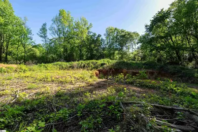 6 Stratton Place, Greenville, SC 29615 - Photo 10