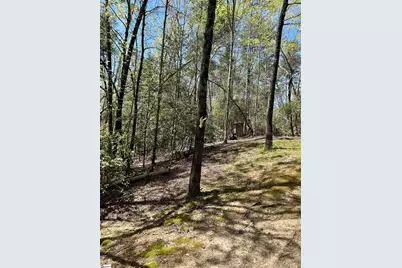 107 Brendart Hill Road, Sunset, SC 29685 - Photo 32
