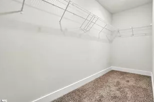 111 Terpack Ct, Gray Court, SC 29645 - Photo 38