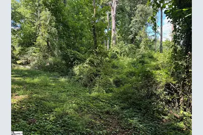 Cone Street, Greenville, SC 29609 - Photo 6