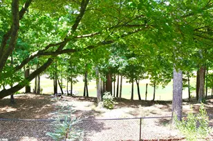 121 Circle Dr, Townville, SC 29689 - Photo 26