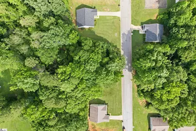 105 Cypress Cove Court, Greenville, SC 29611 - Photo 4
