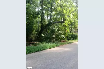 510 Cole Road, Campobello, SC 29322 - Photo 2
