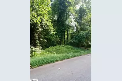 0 Cole Road, Campobello, SC 29322 - Photo 1