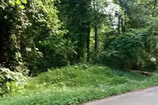 510 Cole Rd, Campobello, SC 29322 - Photo 1