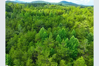 3573 Moorefield Memorial Highway, Pickens, SC 29671 - Photo 18
