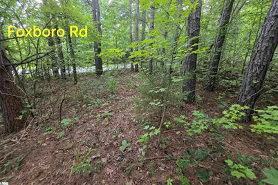 00 Foxboro Road, Travelers Rest, SC 29690 - Photo 28