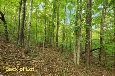 00 Foxboro Road, Travelers Rest, SC 29690 - Photo 24