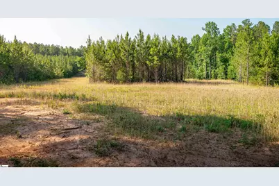 1332 Arnold Lane, Waterloo, SC 29384 - Photo 30