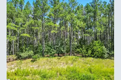 820 Eagles Harbor Drive, Hodges, SC 29653 - Photo 2