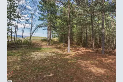 5 Club Cart Road, Travelers Rest, SC 29690 - Photo 12