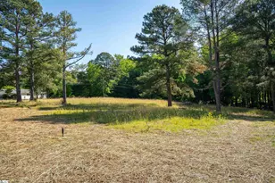 220 Water Mill Rd, Cowpens, SC 29330 - Photo 18