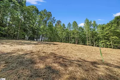 110 N Silver Lake Drive, Taylors, SC 29687 - Photo 8