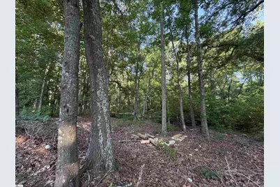 744 Chapman Road, Fountain Inn, SC 29644 - Photo 10