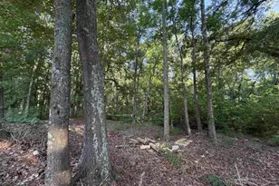 744 Chapman Rd, Fountain Inn, SC 29644 - Photo 10