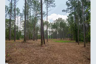 00 Cheek Road #Lot 9, Gray Court, SC 29645 - Photo 14