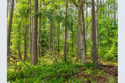 00 Cheek Road #Lot 9, Gray Court, SC 29645 - Photo 18