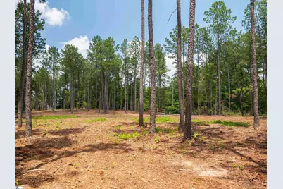 00 Cheek Road #Lot 9, Gray Court, SC 29645 - Photo 16