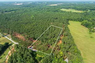 00 Cheek Rd, Gray Court, SC 29645 - Photo 1