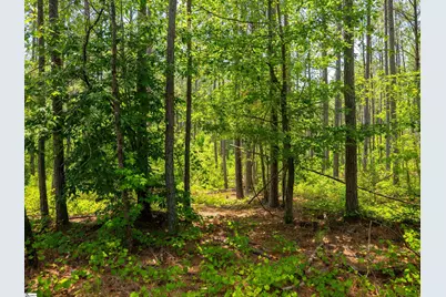 00 Cheek Road #Lot 9, Gray Court, SC 29645 - Photo 20
