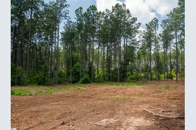 00 Cheek Road #Lot 9, Gray Court, SC 29645 - Photo 12