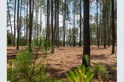 00 Cheek Road #Lot 10, Gray Court, SC 29645 - Photo 12