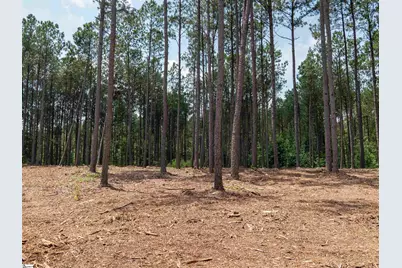 00 Cheek Road #Lot 10, Gray Court, SC 29645 - Photo 14