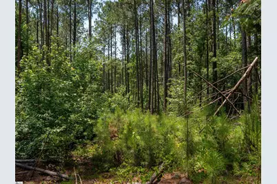 00 Cheek Road #Lot 10, Gray Court, SC 29645 - Photo 16