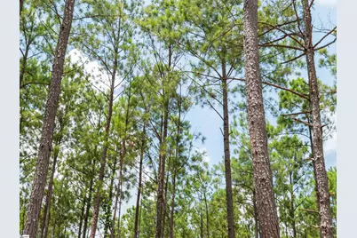 00 Cheek Road #Lot 12, Gray Court, SC 29645 - Photo 16