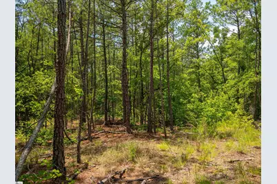 00 Cheek Road #Lot 12, Gray Court, SC 29645 - Photo 14
