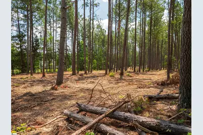 00 Cheek Road #Lot 12, Gray Court, SC 29645 - Photo 18