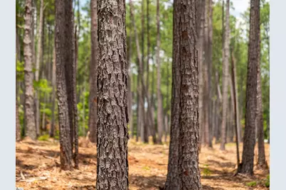 00 Cheek Road #Lot 12, Gray Court, SC 29645 - Photo 12